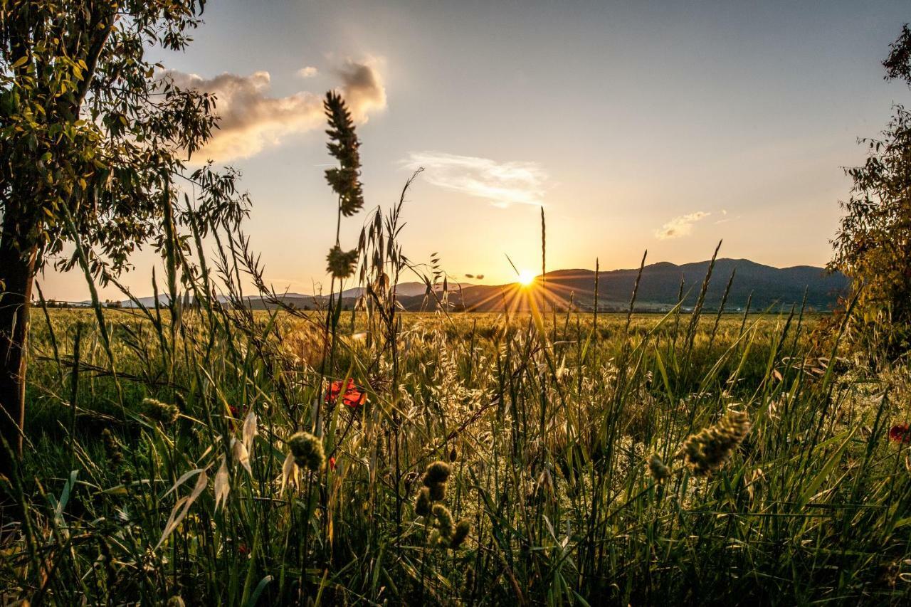Refugium Countryhouse Podere Cernaia Екстер'єр фото